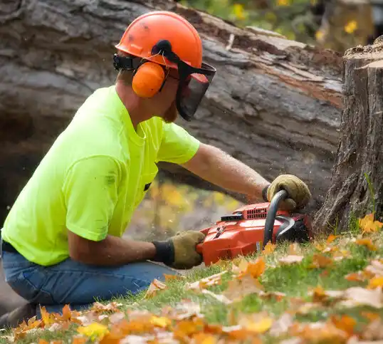 tree services Pittsfield